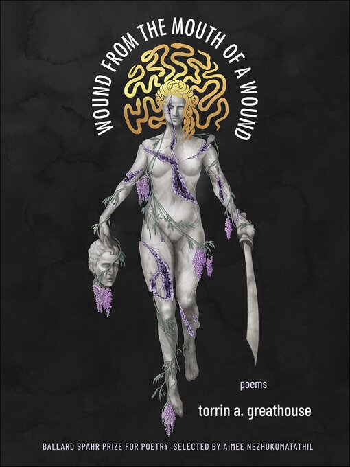 Cover image for Wound from the Mouth of a Wound